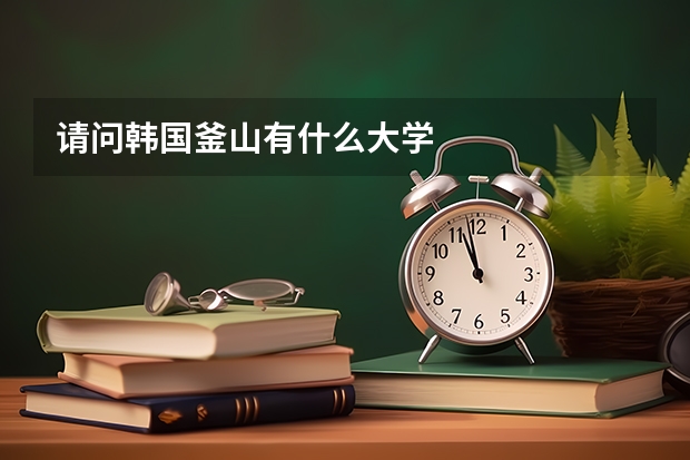 请问韩国釜山有什么大学
