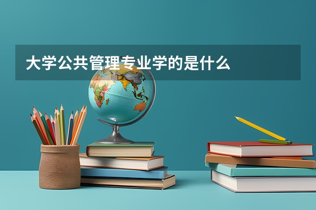 大学公共管理专业学的是什么