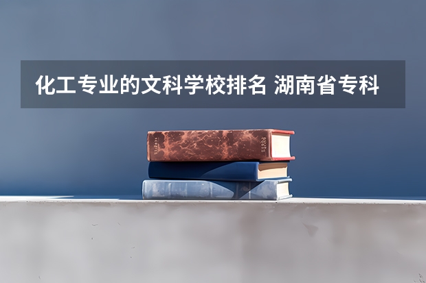 化工专业的文科学校排名 湖南省专科学校排名