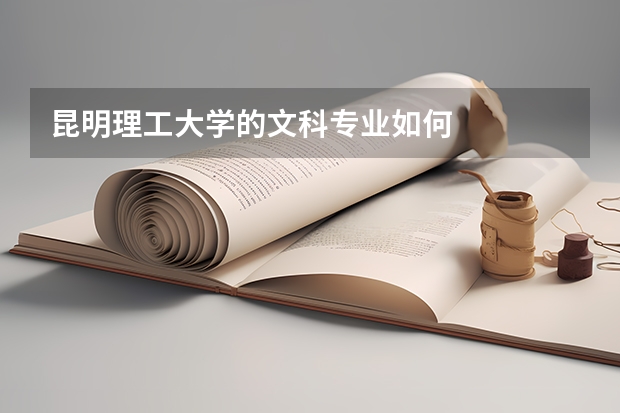 昆明理工大学的文科专业如何