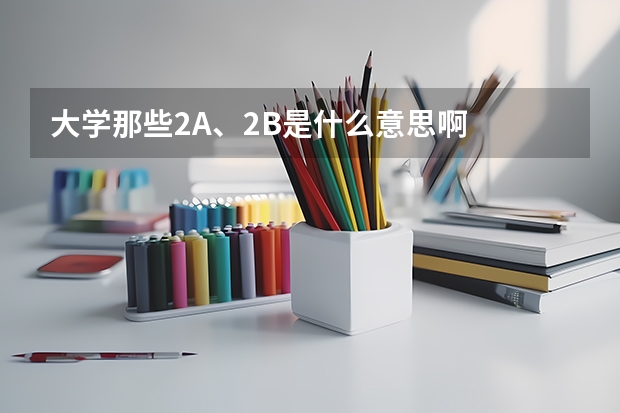 大学那些2A、2B是什么意思啊