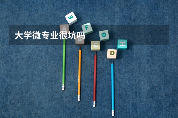 大学微专业很坑吗