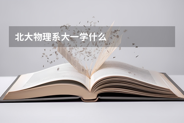 北大物理系大一学什么