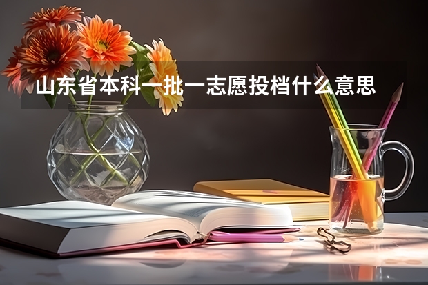 山东省本科一批一志愿投档什么意思