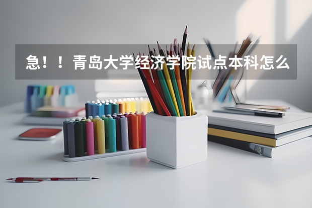 急！！青岛大学经济学院试点本科怎么样啊。实质是什么？是否公办and有保障吗？