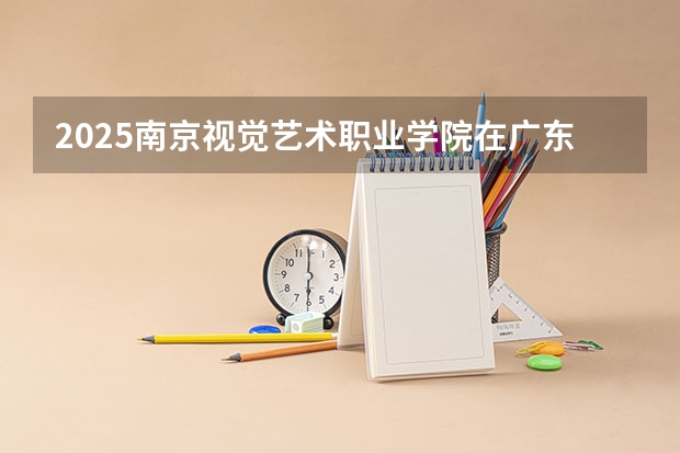2025南京视觉艺术职业学院在广东招生计划与2024年招生计划对比