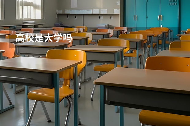 高校是大学吗