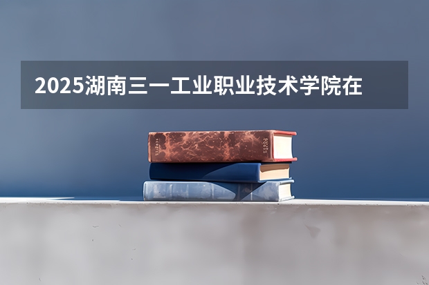 2025湖南三一工业职业技术学院在广东招生计划与2024年招生计划对比