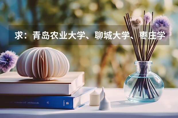 求：青岛农业大学、聊城大学、枣庄学院的历年专一的录取分数线（大连东软信息学院分数线（大连东软信息学院分数线））