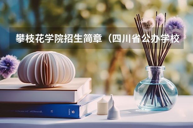 攀枝花学院招生简章（四川省公办学校调档线）