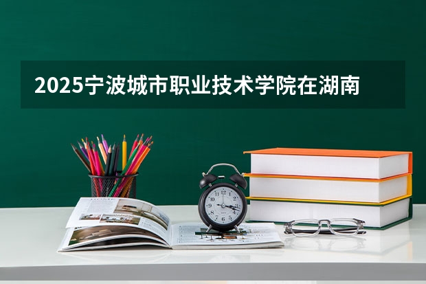 2025宁波城市职业技术学院在湖南招生计划与2024年招生计划对比
