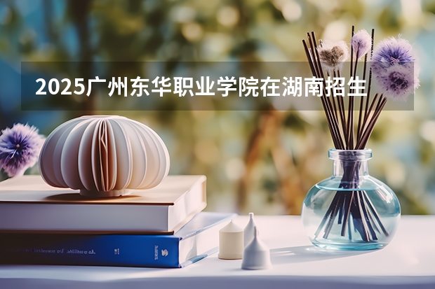 2025广州东华职业学院在湖南招生计划与2024年招生计划对比