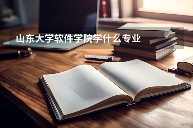 山东大学软件学院学什么专业