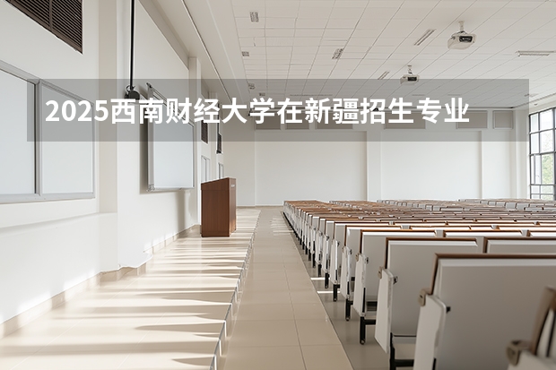 2025西南财经大学在新疆招生专业有哪些？