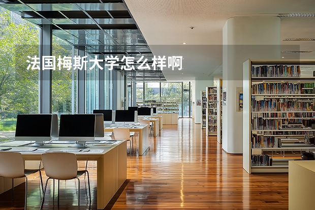 法国梅斯大学怎么样啊