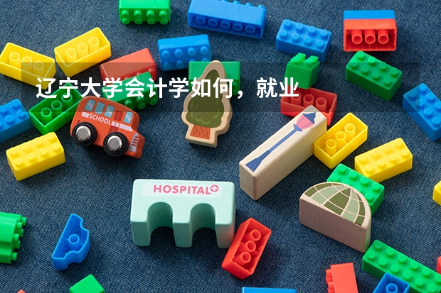 辽宁大学会计学如何，就业