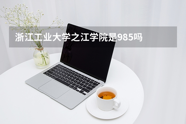 浙江工业大学之江学院是985吗