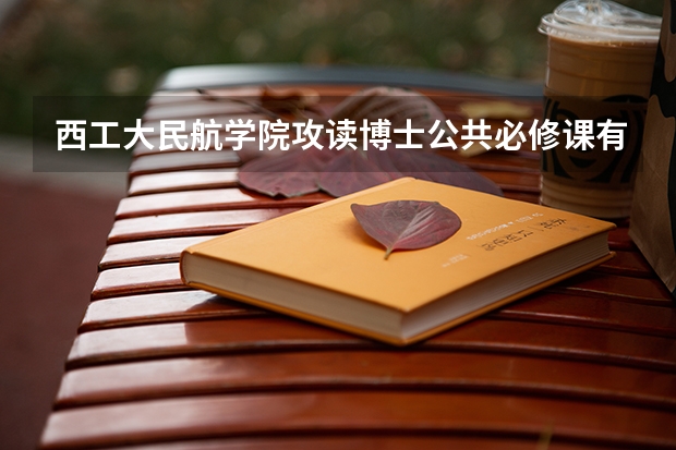 西工大民航学院攻读博士公共必修课有哪些