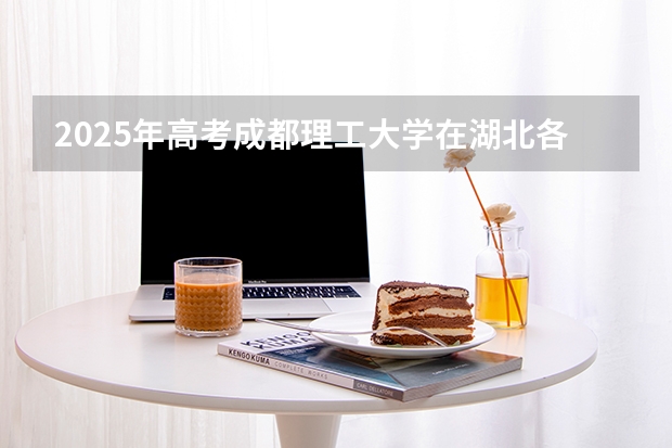 2025年高考成都理工大学在湖北各批次选科要求