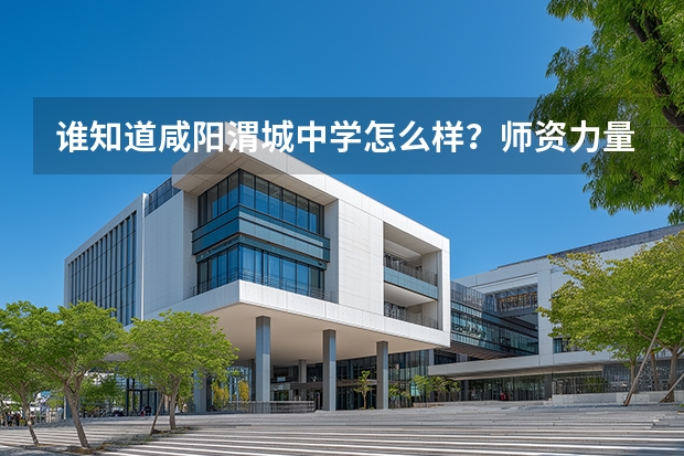 谁知道咸阳渭城中学怎么样？师资力量，还有学生的学习情况