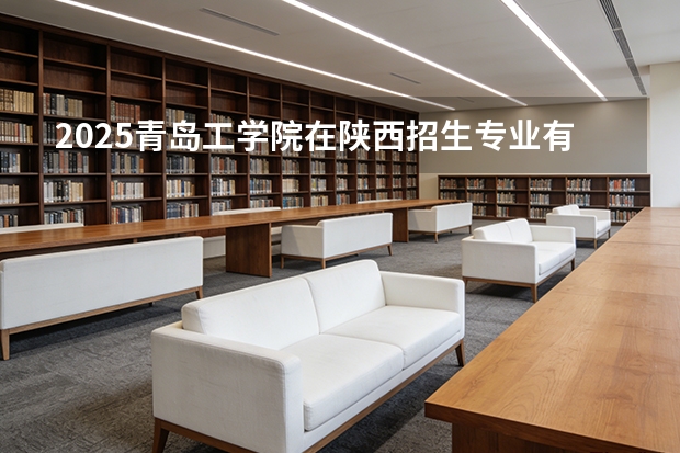 2025青岛工学院在陕西招生专业有哪些 ？（2026参考）