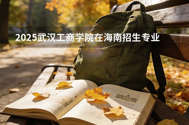 2025武汉工商学院在海南招生专业有哪些 ？（2026参考）