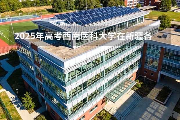 2025年高考西南医科大学在新疆各批次选科要求