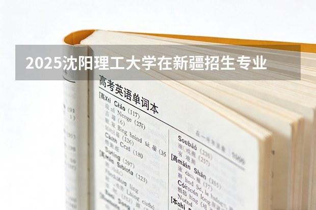 2025沈阳理工大学在新疆招生专业有哪些 ？（2026参考）