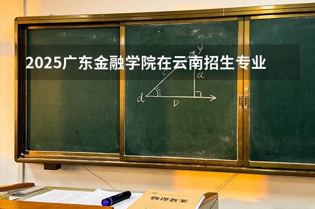 2025广东金融学院在云南招生专业有哪些 ？（2026参考）